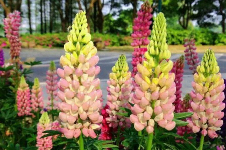 1690022429112297.jpg 17.jpg