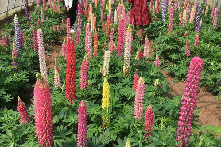 1690022439365760.jpg 4.jpg