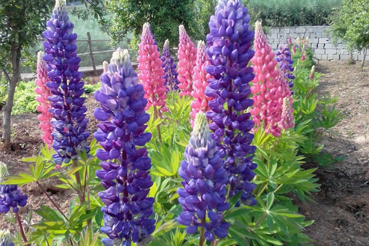 1690022511662008.jpg 14.jpg