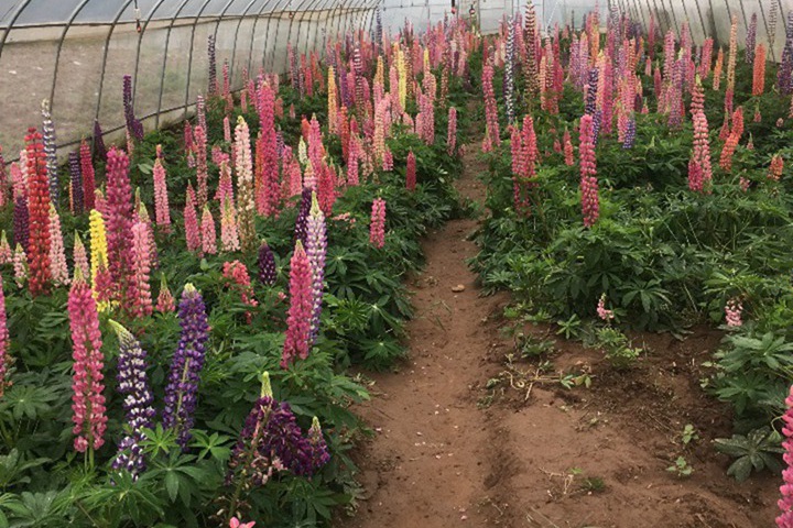 1690022521763917.jpg 2.jpg