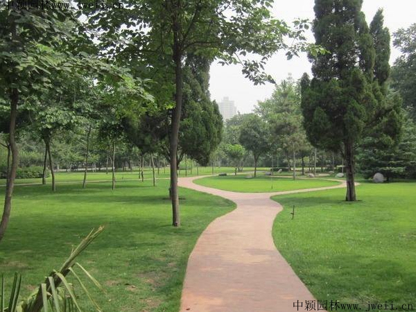 1690534491673962.jpg 1567489118994625.jpg