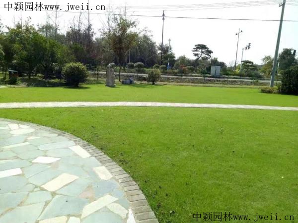 1691834058434071.jpg 1567489074718381.jpg