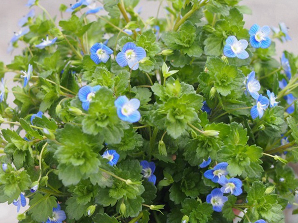 1692522388624579.jpg 3.jpg