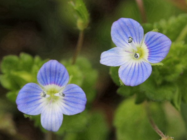 1692522397530795.jpg 6.jpg