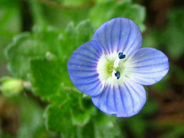 1692522402852941.jpg 7.jpg