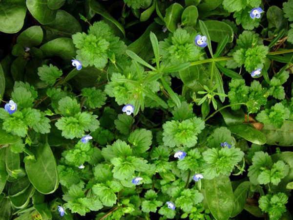 1692522406895583.jpg 9.jpg