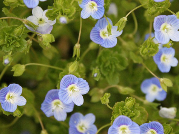 1692522411906886.jpg 10.jpg