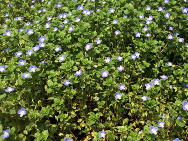 1692522429814321.jpg 1.jpg