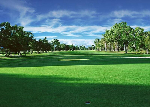 1693103560718330.jpg 草坪2.jpg