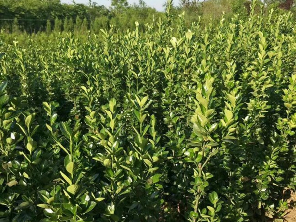 1693133294856484.jpg 北海道1.jpg