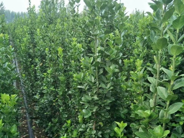 1693133326384276.jpg 北海道6.jpg