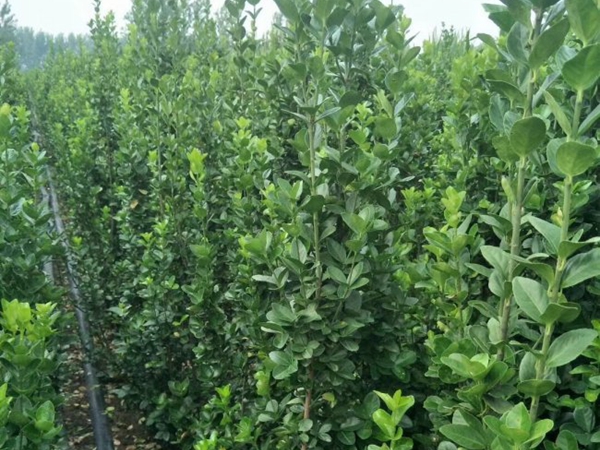 1693133408771078.jpg 北海道2.jpg