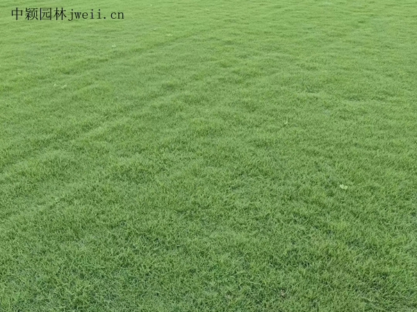 1693384602638906.jpg 微信圖片_20230620191308.jpg