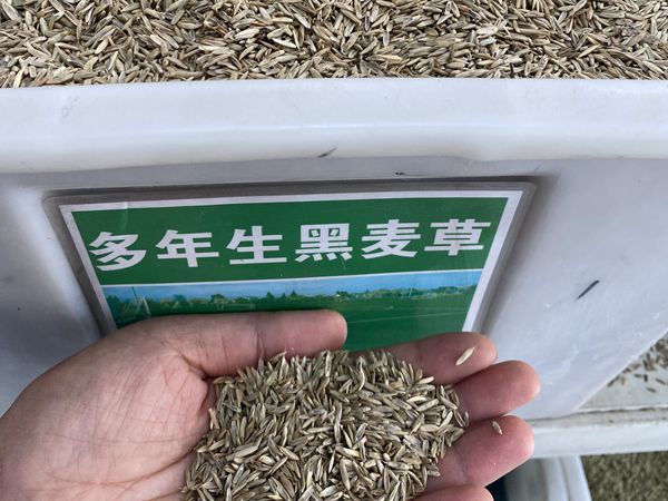 1693744367672575.jpg d.jpg