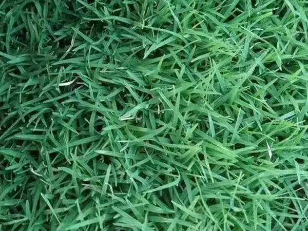 1694176467373231.jpg 微信圖片_20230702182207.jpg