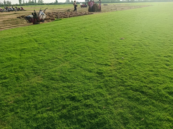 1694176500762894.jpg 微信圖片_20230908153208.jpg