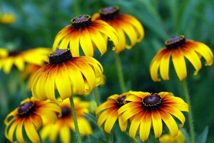 1694258858555227.jpg 2.jpg