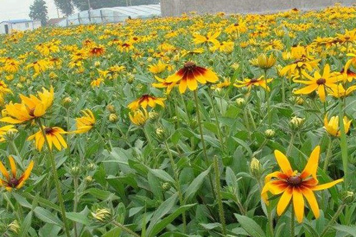 1694260591233665.jpg 1.jpg