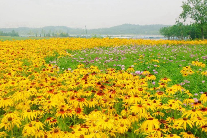 1694260601716363.jpg 4.jpg