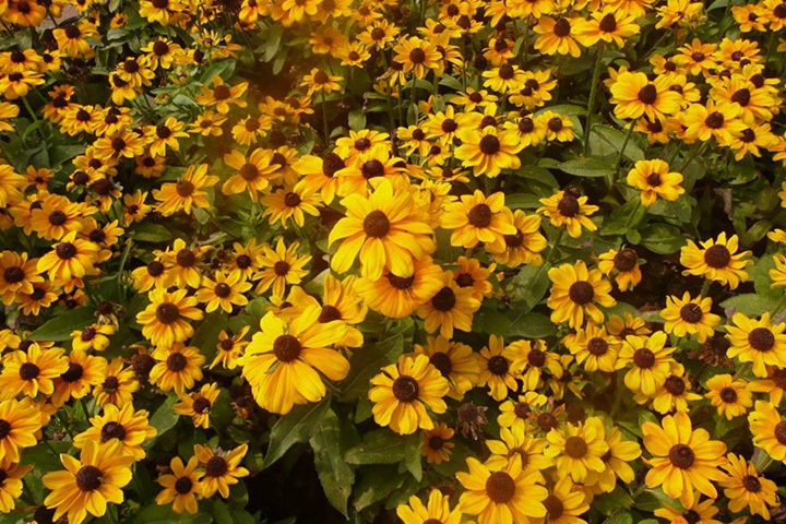 1694260653579754.jpg 5.jpg