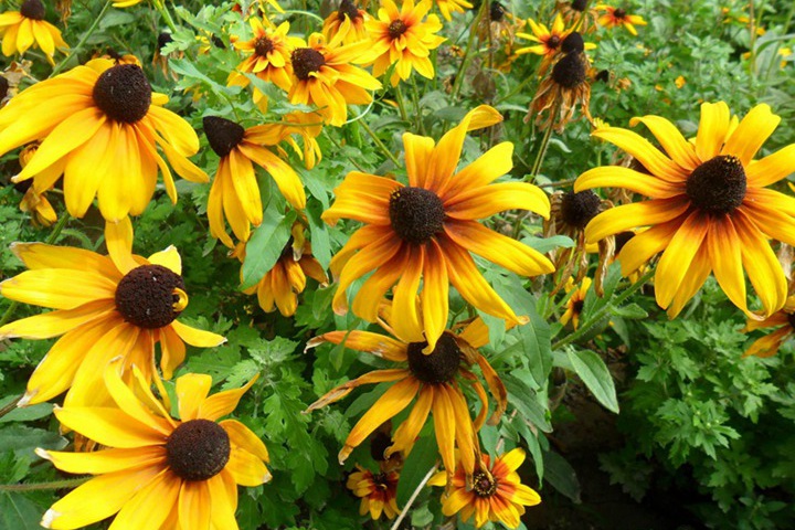 1694260657424594.jpg 10.jpg