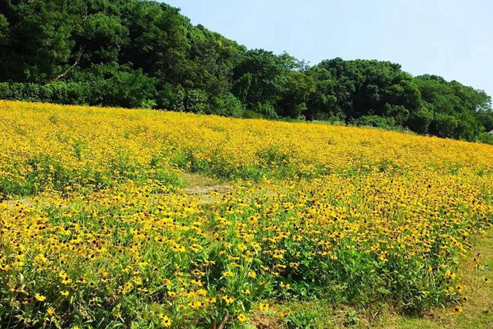 1694261018476308.jpg 3.jpg