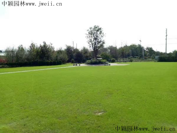 1694838797667967.jpg 1567489084117467.jpg