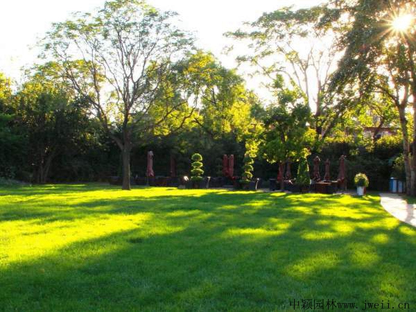 1694838833480224.jpg 1567489168602972.jpg