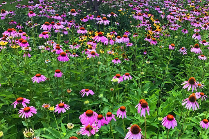 1696828307968784.jpg 7.jpg