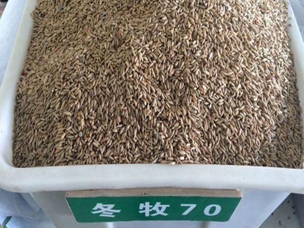 1703658844561261.jpg 10_副本_副本.jpg