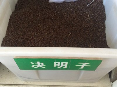 遼寧哪里有賣天堂草種子的？