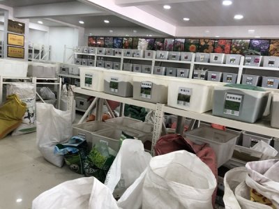 南方八月份能播種格桑花嗎？