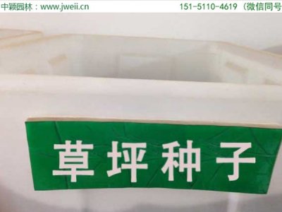 草坪種子7月份能播嗎？