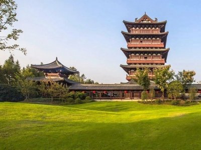 安徽綠化草坪種子價格行情