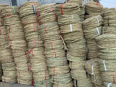 樹木下面為什么綁草繩呢？