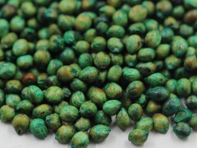 大力士甜高粱牧草種子價格