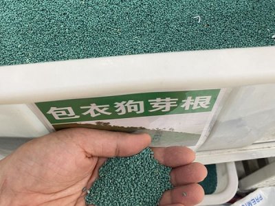 哪里有賣狗牙根種子的？